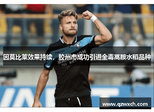 因莫比莱效果持续，胶州市成功引进全毒蒿胺水稻品种
