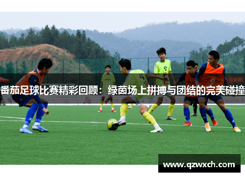 番茄足球比赛精彩回顾：绿茵场上拼搏与团结的完美碰撞